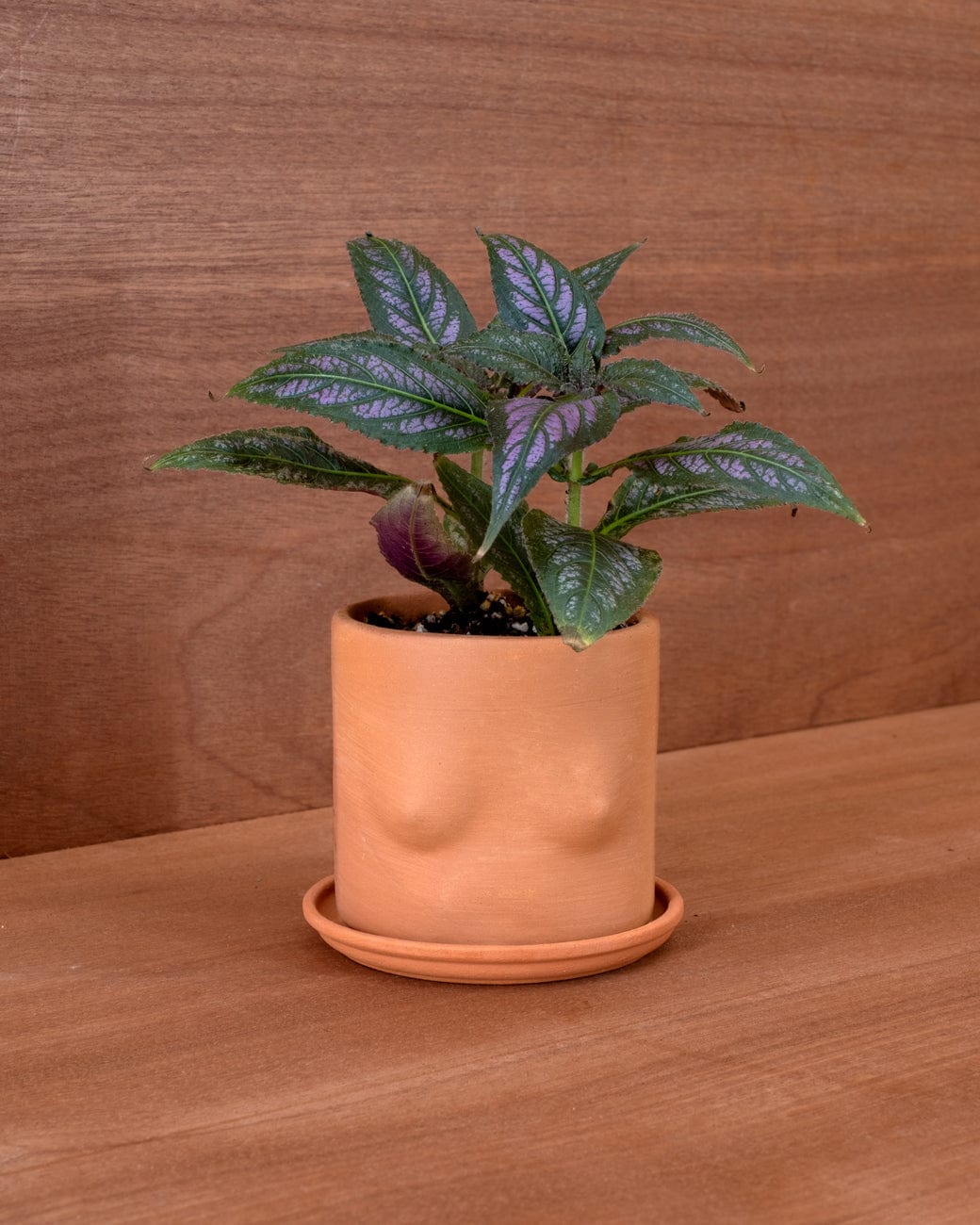 plant pot with boobs Group Partner Boob