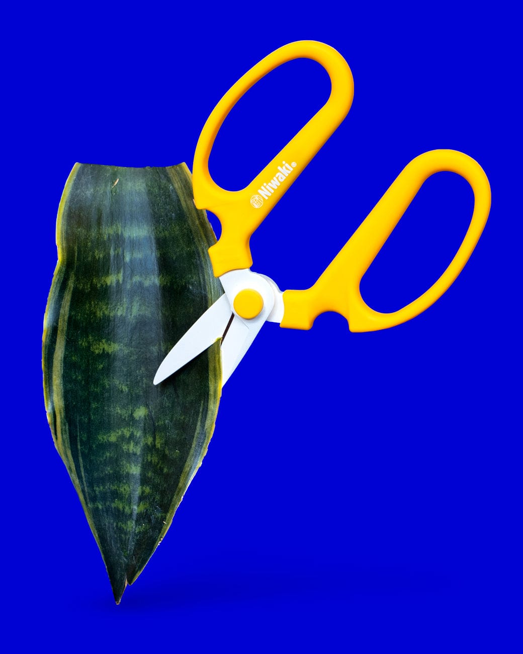 http://tula.house/cdn/shop/products/tula-plants-design-Niwaki-flower-scissors-leaf.jpg?v=1693463281