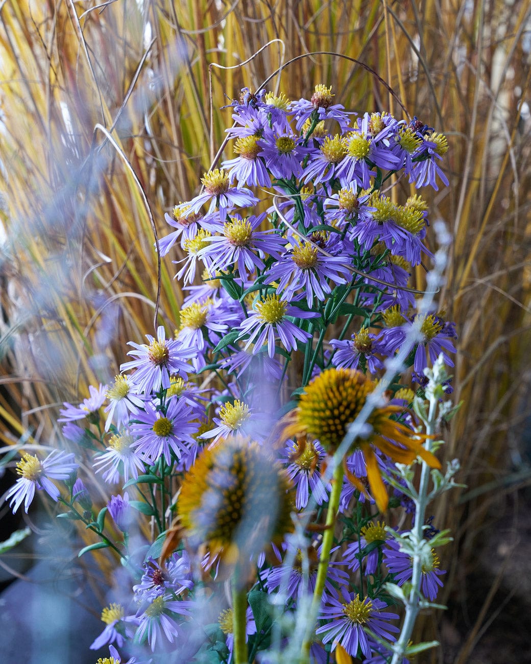 How to Prepare Your Garden’s Soil for Spring Planting