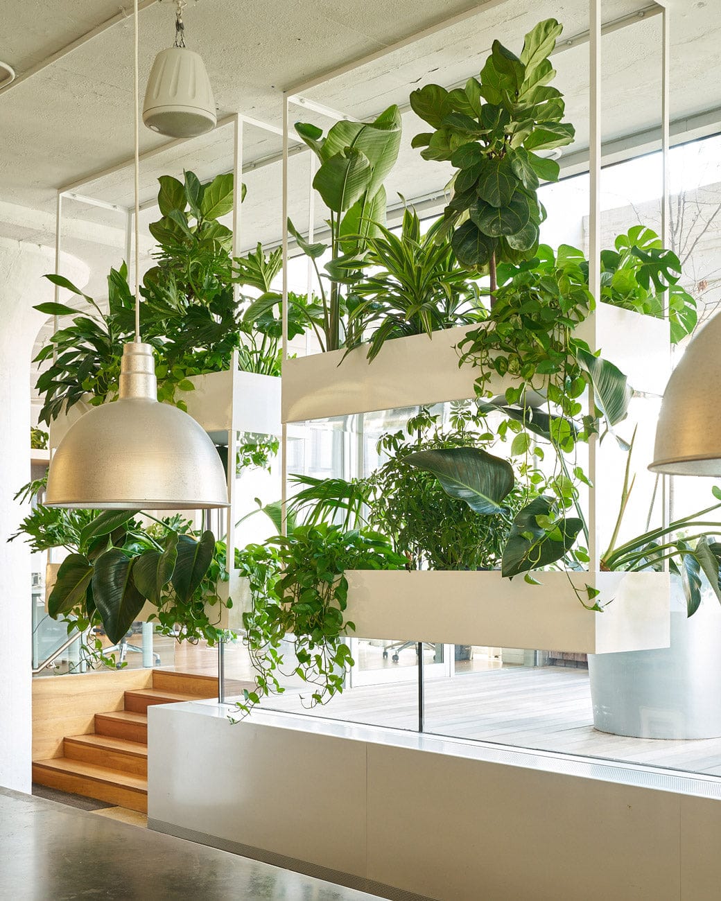 Adding Greenery to Your Workspace with Office Plants