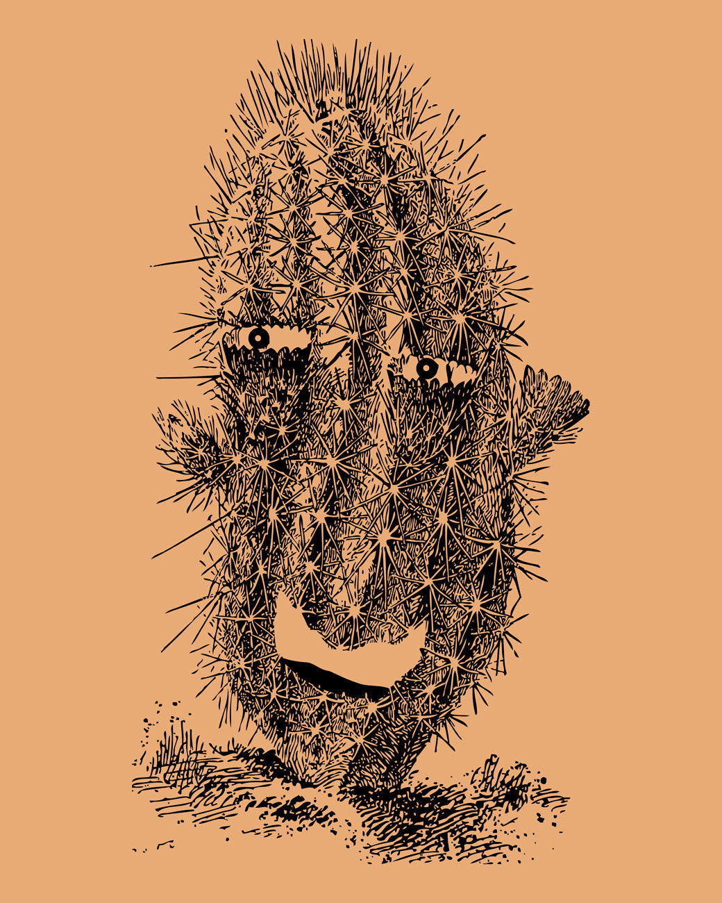 A Dracaena marginata at Tula Plants & Design