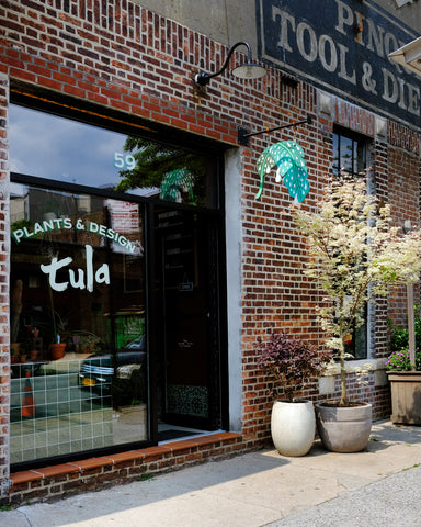 The front door of Tula Plants & Design in Brooklyn, NY.