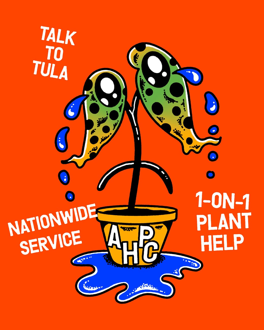 Tula’s At Home Plant Care-1