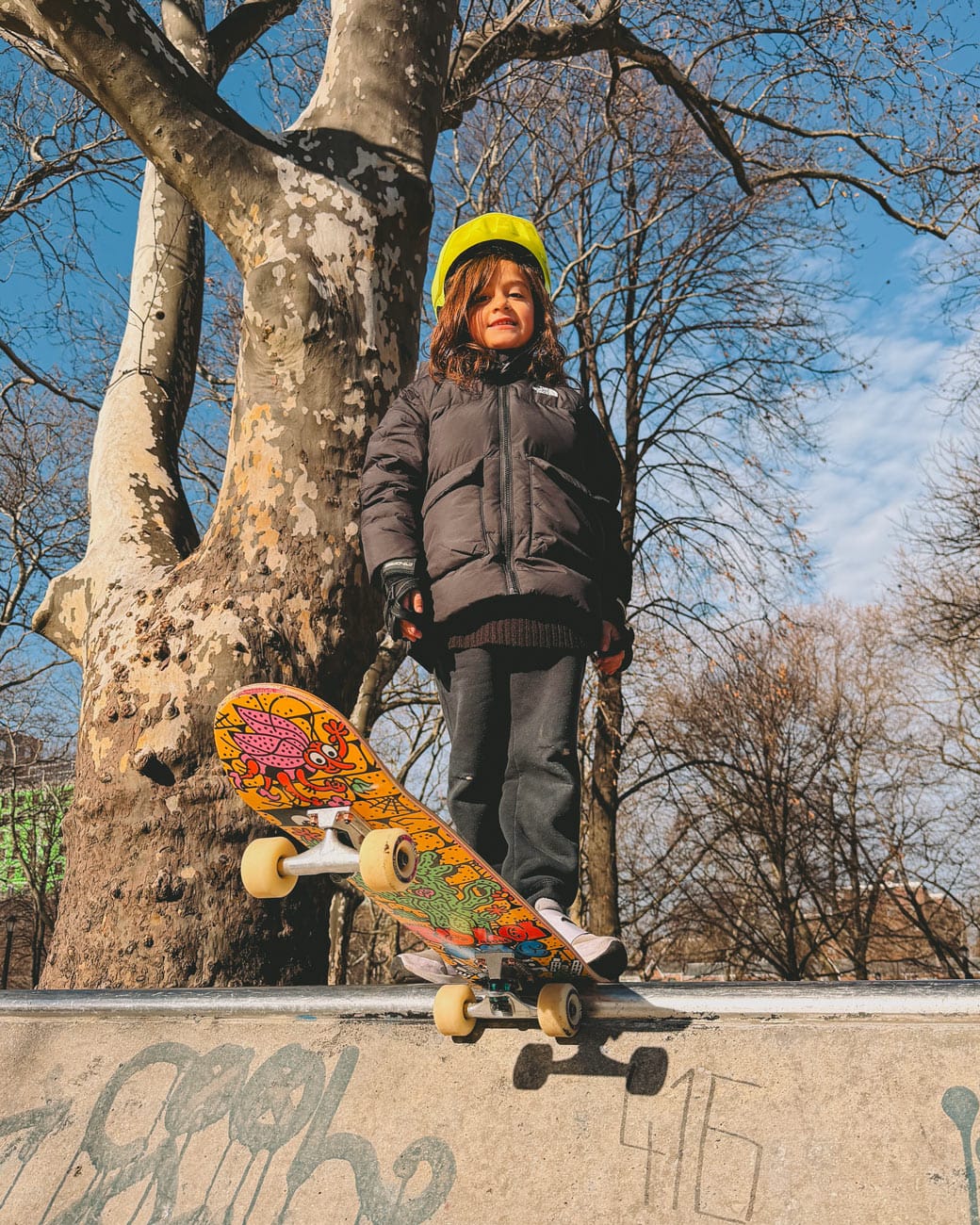 Tula House NYC Skateboard Deck