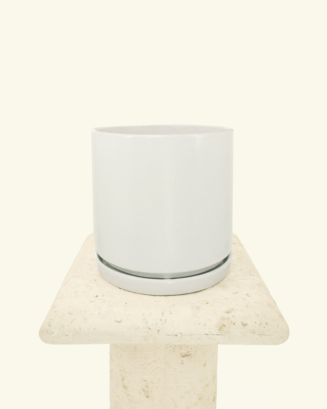 Matte White Dish
