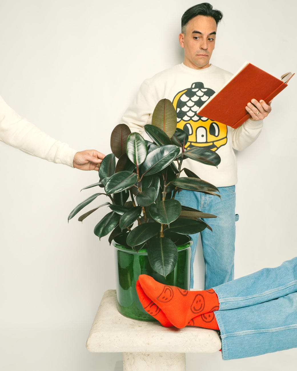 Ficus Elastica-3