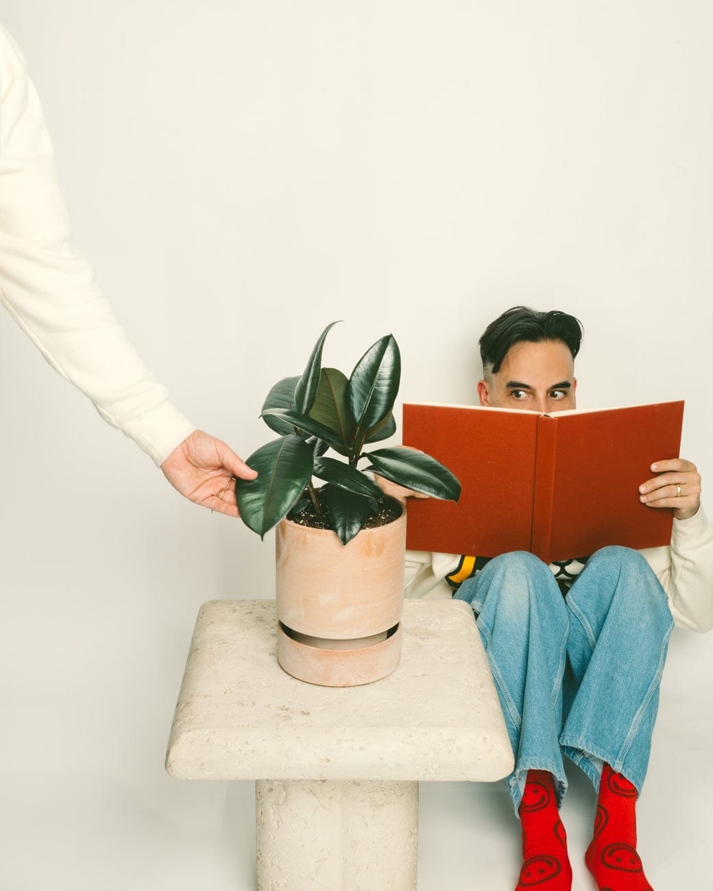Ficus Elastica-4