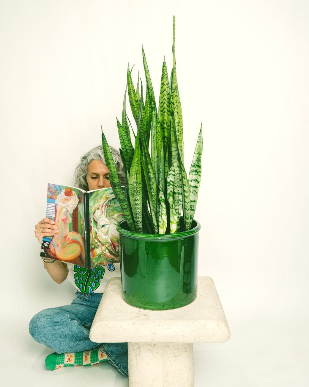 Sansevieria Zeylanica-3