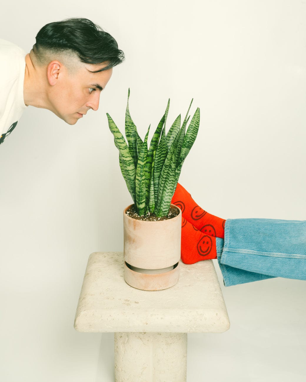 Sansevieria Zeylanica-5