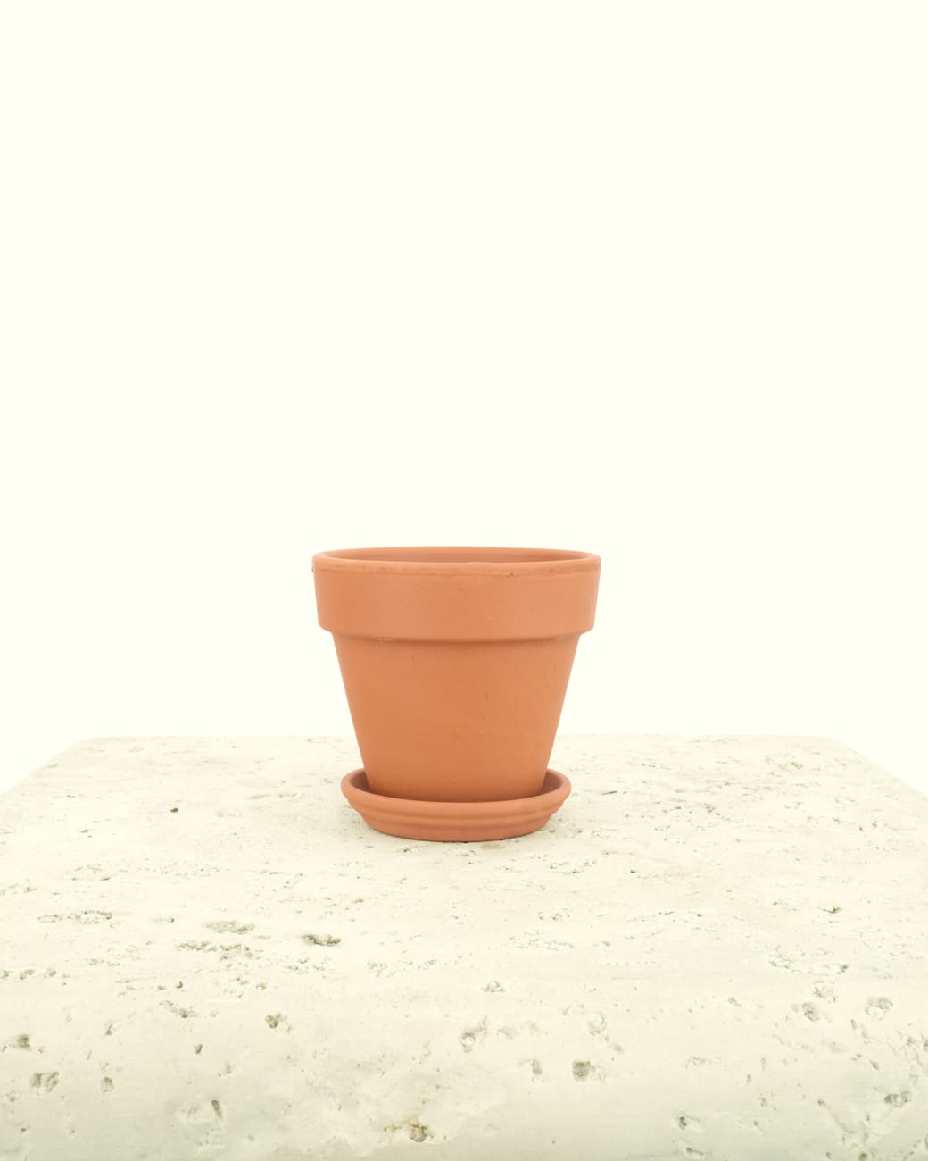Standard Terra Cotta Planters-3