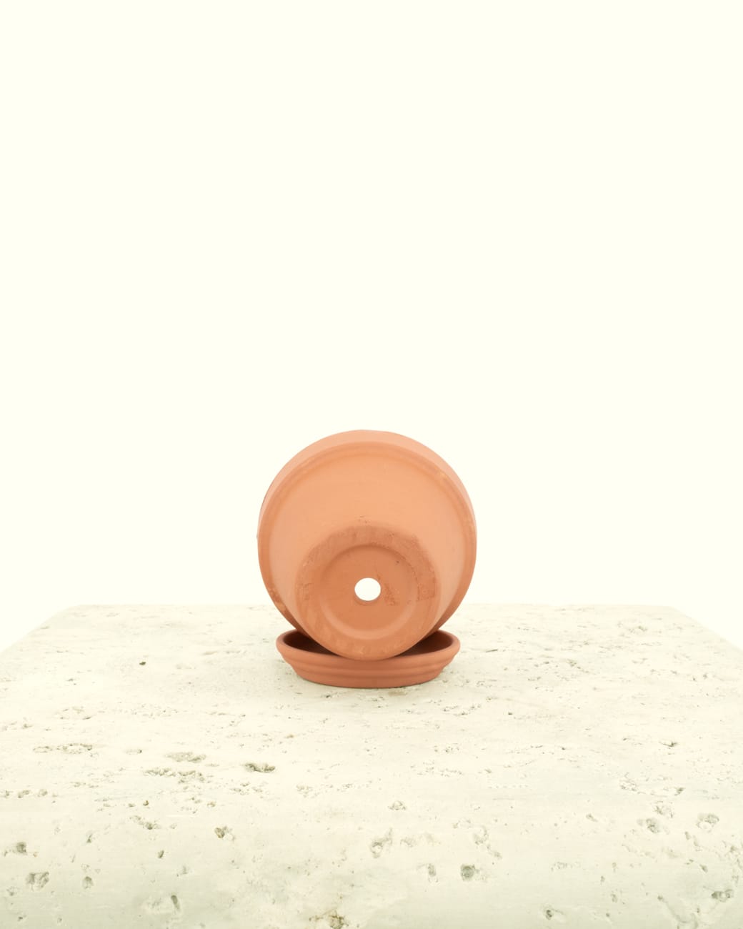 Standard Terra Cotta Planters-4