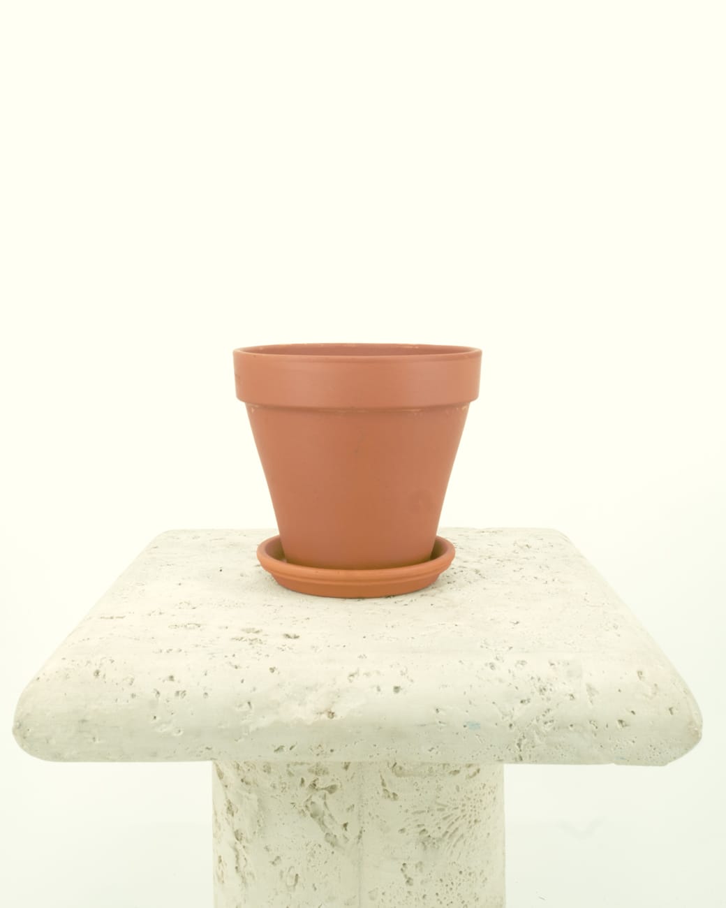 Standard Terra Cotta Planters