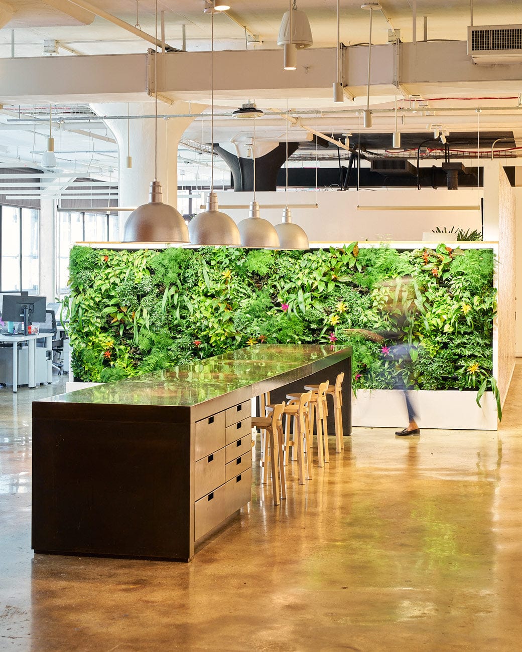 Plant Caretaker & Maintenance Services | Contact Tula House