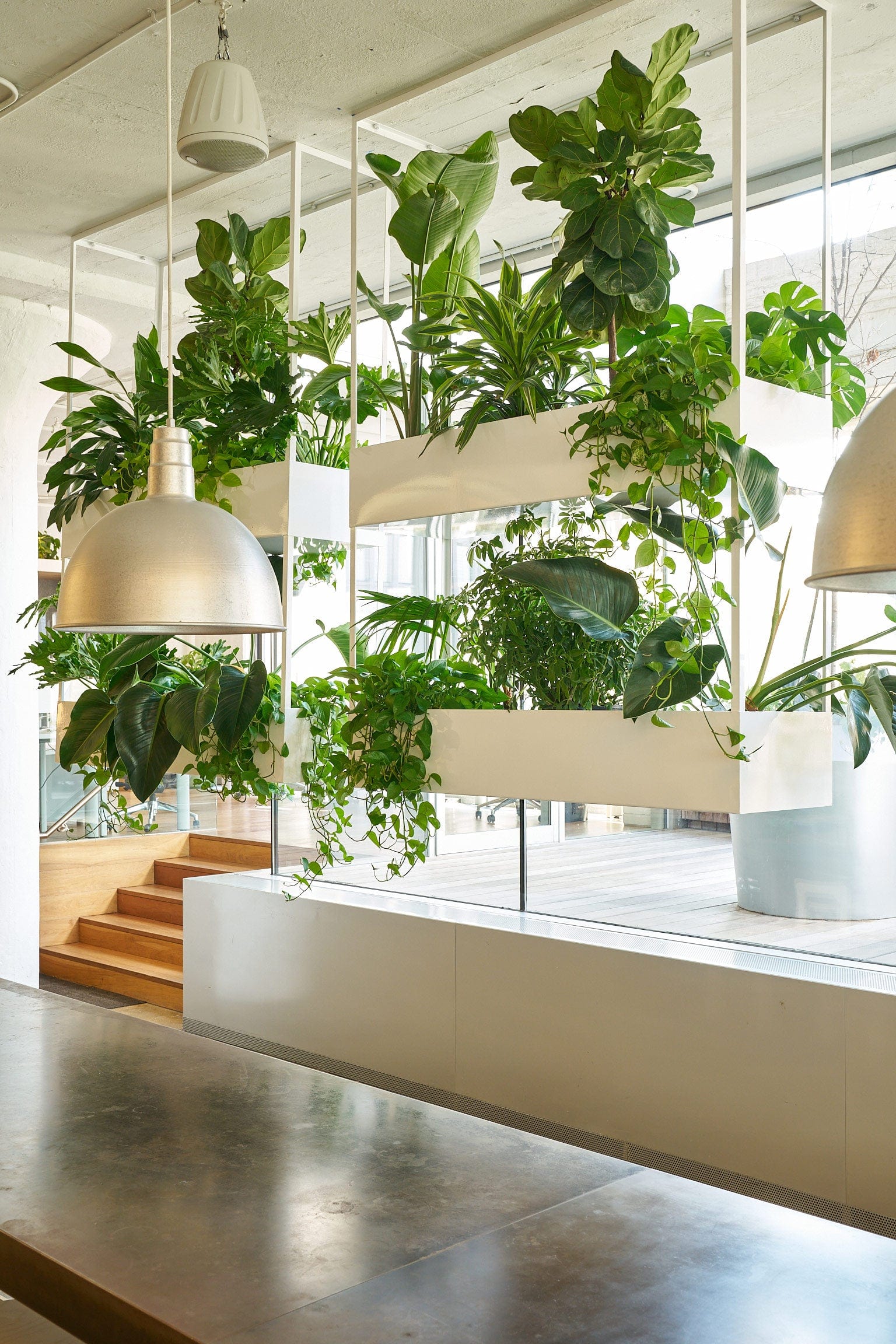 Plant Shop NYC | Custom Plantscaping Design | Tula House