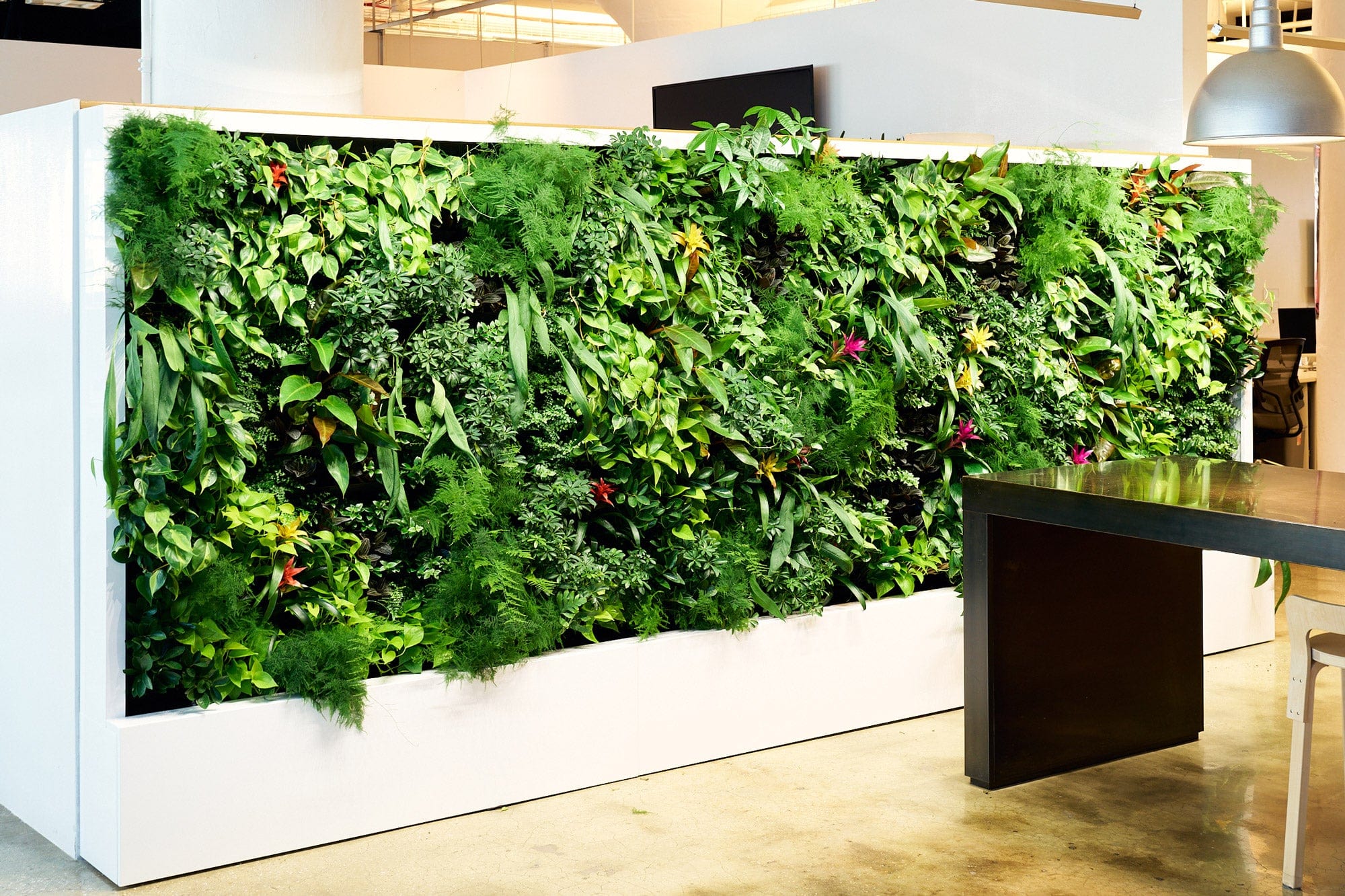 tula house plants Plant Caretaker & Maintenance Services | Contact Tula House