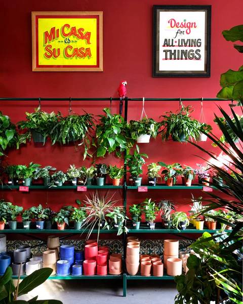 Plant Shop NYC | Custom Plantscaping Design | Tula House