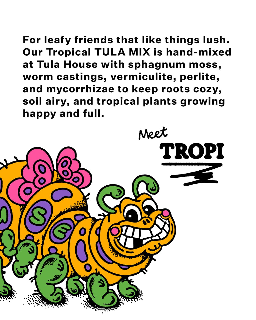 Tula's Tropical Mix-3
