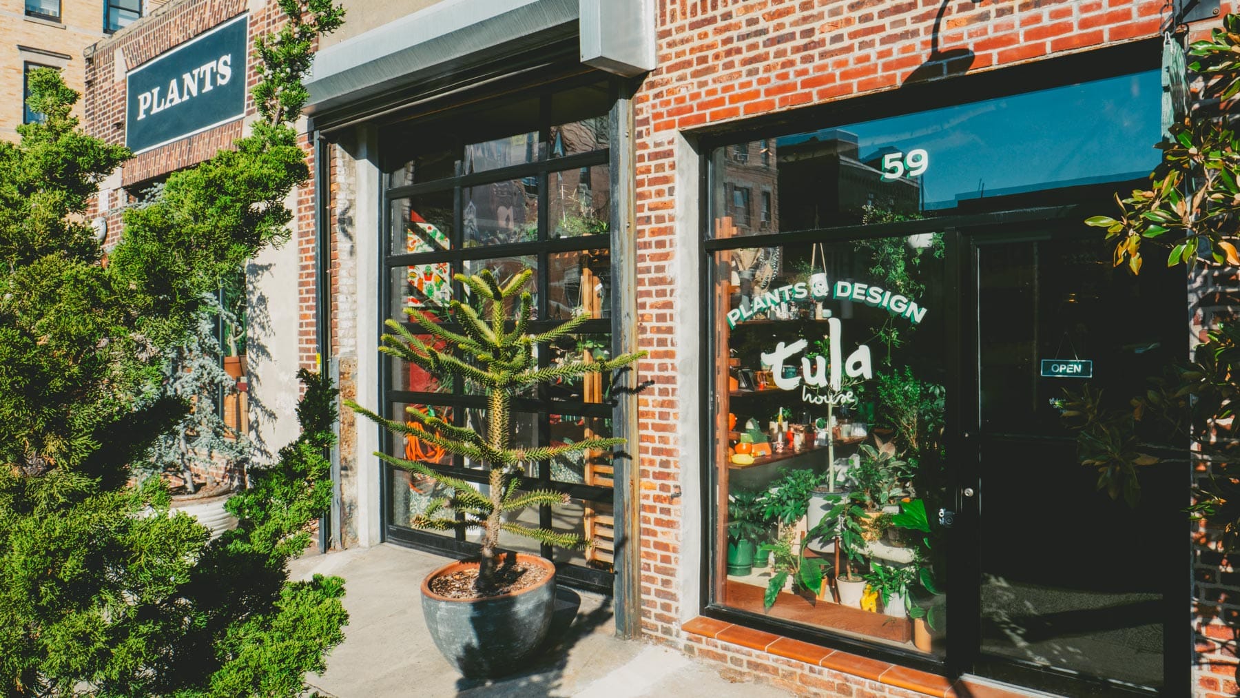 Plant Shop NYC | Custom Plantscaping Design | Tula House