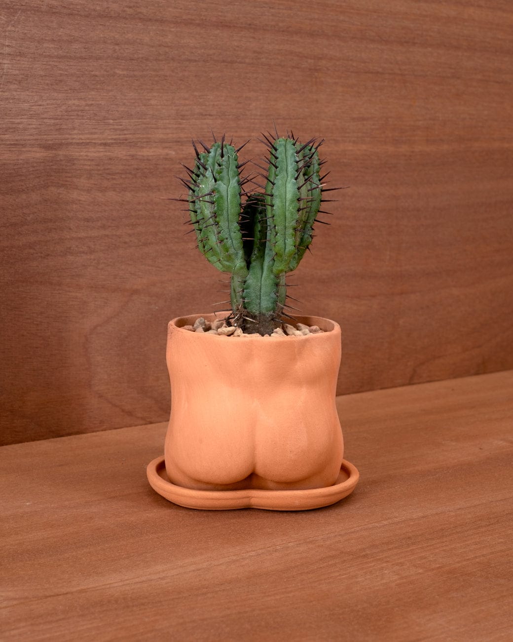 Group Partner Butt