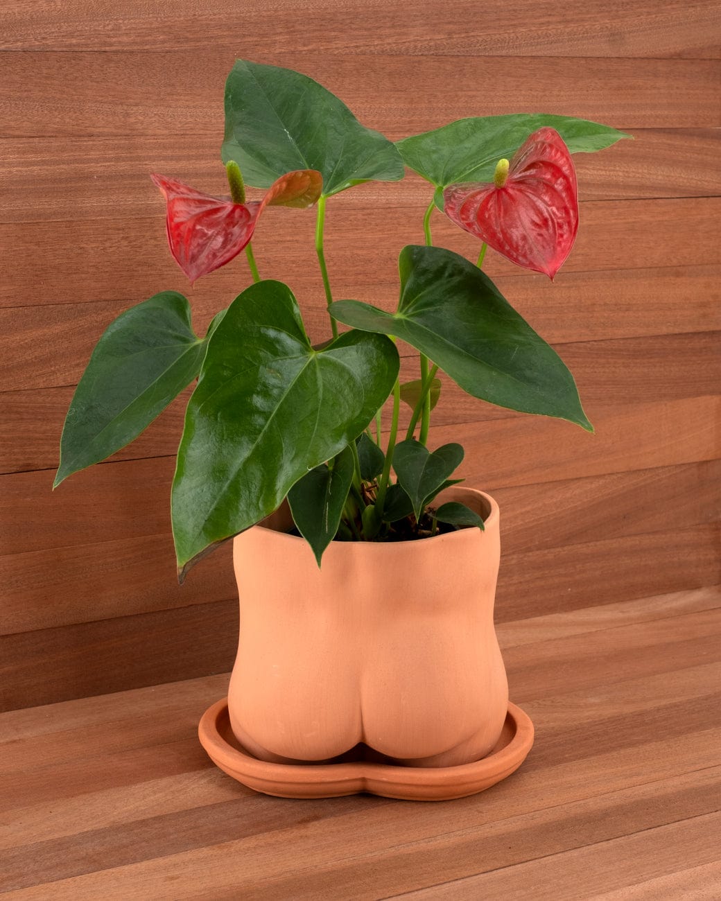 Group Partner Butt-5