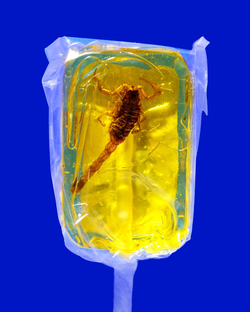 Hotlix Scorpion Lollipop