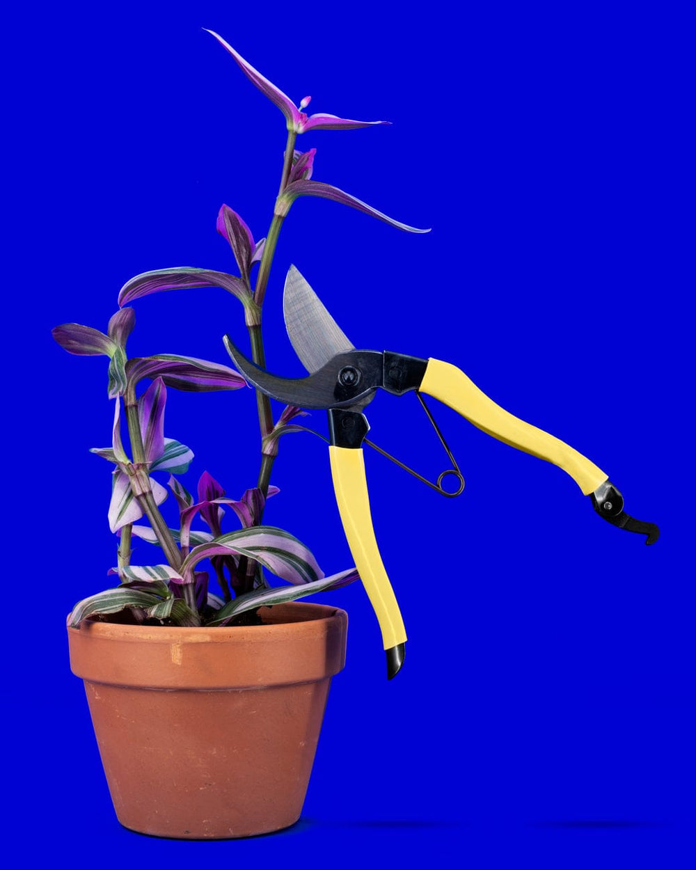Niwaki Mainichi Secateurs